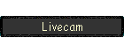 Livecam